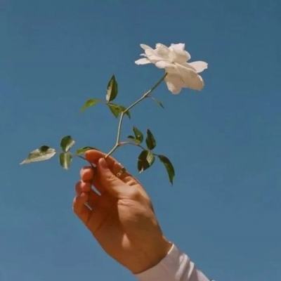 我的麻烦小后妈